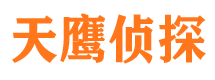 玛多侦探公司